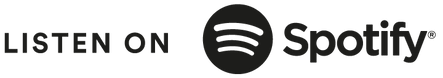 mediamagneten – Audio Ads auf Spotify 