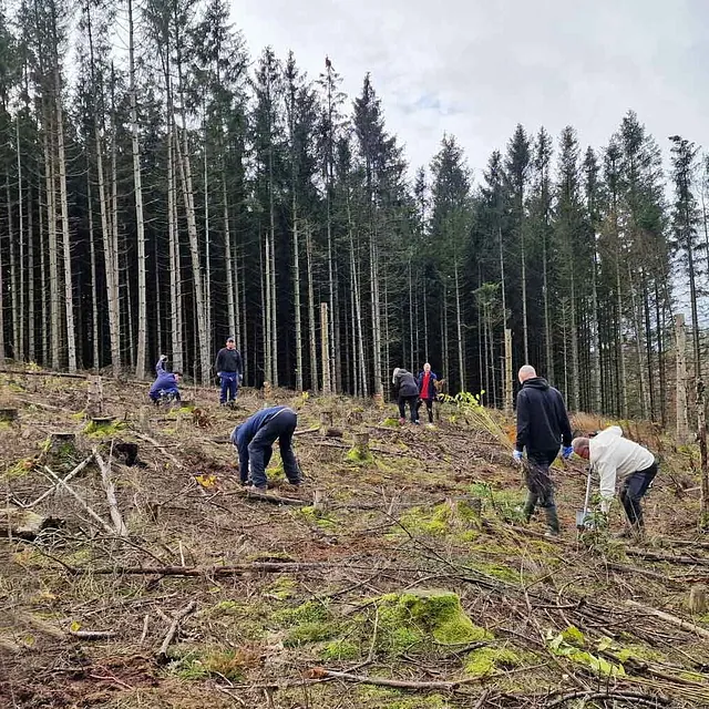 Wir lassen nicht nur buddeln, nein, wir buddeln selber: Im Oktober konnten wir an einer von unserem Kooperationspartner Plant-my-tree durchgeführten Baumpflanzaktion in Lüdenscheid teilnehmen. Unter fachkundiger Anleitung haben wir unter anderem Rotbuchen, Stileichen, Bergahorn und Douglasien in die Erde gesetzt. Auf einer Fläche, auf der in der Vergangenheit Monokulturen zur reinen Holzgewinnung gepflanzt worden waren, soll nun wieder ein gesunder Mischwald entstehen. Ein tolles Erlebnis, das uns die wichtige Arbeit von Plant-my-tree noch einmal so richtig vor Augen geführt hat!